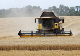 Collection of seed winter wheat in the Kharkiv region