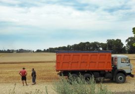 Collection of seed winter wheat in the Kharkiv region