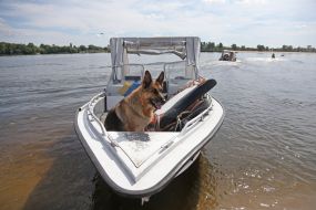 water rescue exercises