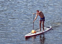 Літній відпочинок у Києві