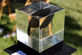 "KinoBuket" festival in Kyiv