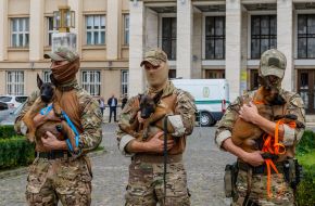 Cynologists hold puppies in their arms