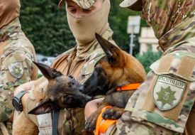 Cynologists hold puppies in their arms