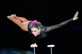 "Express" program in the Zaporozhye Circus