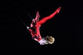 "Express" program in the Zaporozhye Circus
