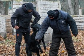 Demonstration of detention of a conditional violator