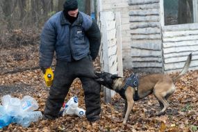 Demonstration of detention of a conditional violator