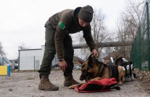 A cynologist with a shepherd dog from the cynological service of the 5th Slobozhan Brigade during training in Kharkiv