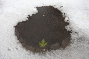 Ненастье в Киеве