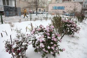 Негода у Києві