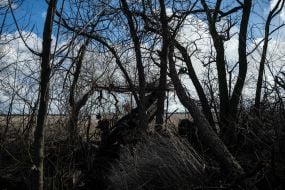 Howitzer M777 in positions near the city of Mariinka