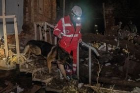 Службовий собака