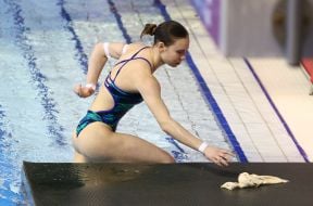 Кубок мира по прыжкам в воду в Берлине