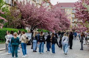 Люди любуються цвітінням сакур в Ужгороді
