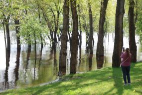 Flooded coastline in Natalka Park