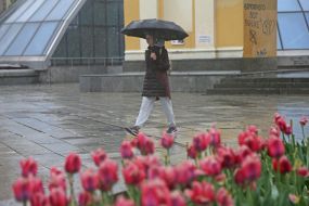 Rain in Kyiv