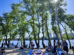 Summer vacation on Obolonsky Island in Kyi