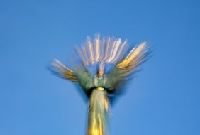 Monument of Independence (Bereginya)in Kyiv