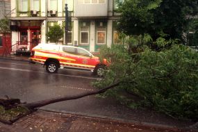 A tree felled by the weather lies on the road in Kyiv