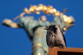 Monument of Independence (Bereginya)in Kyiv