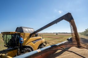 Harvesting in the Izyum district