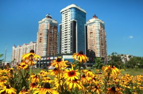 Flowers on the background of a high-rise building on Obolon in Kyiv