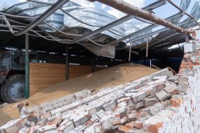 Wheat grain on a bombed threshing floors