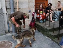 Dog handlers with service dogs