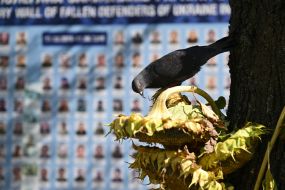 Day of Remembrance of Fallen Defenders of Ukraine