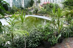 Zaporizhzhia City Children's Botanical Garden