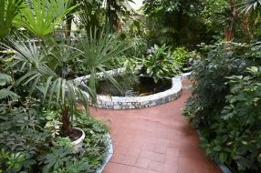 Zaporizhzhia City Children's Botanical Garden