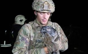 Consequences of the night attack on Kharkiv