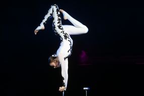 Circus performer