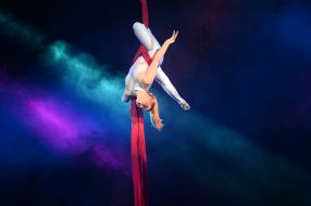 Aerial gymnasts