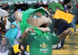 A fan in a lion costume