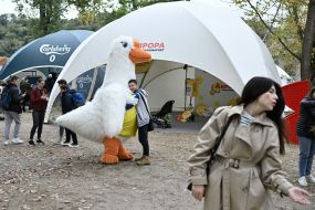 Мужчина обнимает аниматора в костюме утки