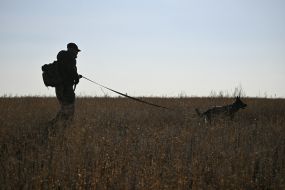 Search for bodies of fallen Ukrainian soldiers in Kharkiv region