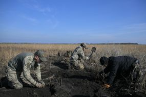 Search for bodies of fallen Ukrainian soldiers in Kharkiv region