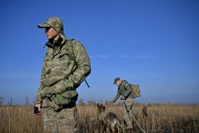 Search for bodies of fallen Ukrainian soldiers in Kharkiv region