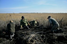 Search for bodies of fallen Ukrainian soldiers in Kharkiv region