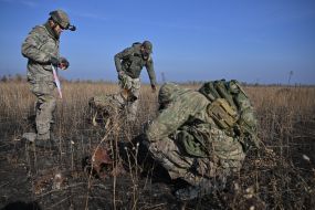 Search for bodies of fallen Ukrainian soldiers in Kharkiv region