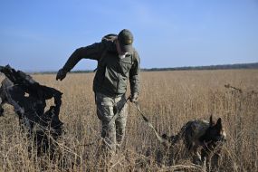 Search for bodies of fallen Ukrainian soldiers in Kharkiv region