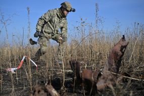 Search for bodies of fallen Ukrainian soldiers in Kharkiv region