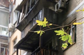 A maple branch against the background of a balcony in a residential building in the Solomyanskyi district in Kyiv, which was burnt due to the impact of the shaheed