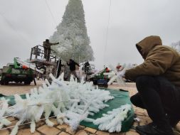 Installation of New Year tree on Sofia Square