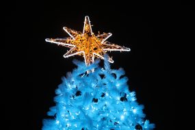 Christmas tree on Sophia Square in Kyiv