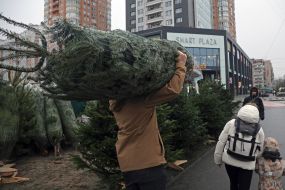 Мужчина несет елку