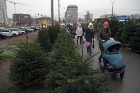 Продажа елок в Киеве