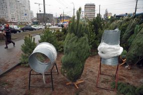 Продажа елок в Киеве
