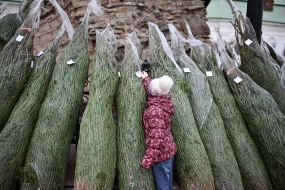 Дети погибших защитников Украины получили елки